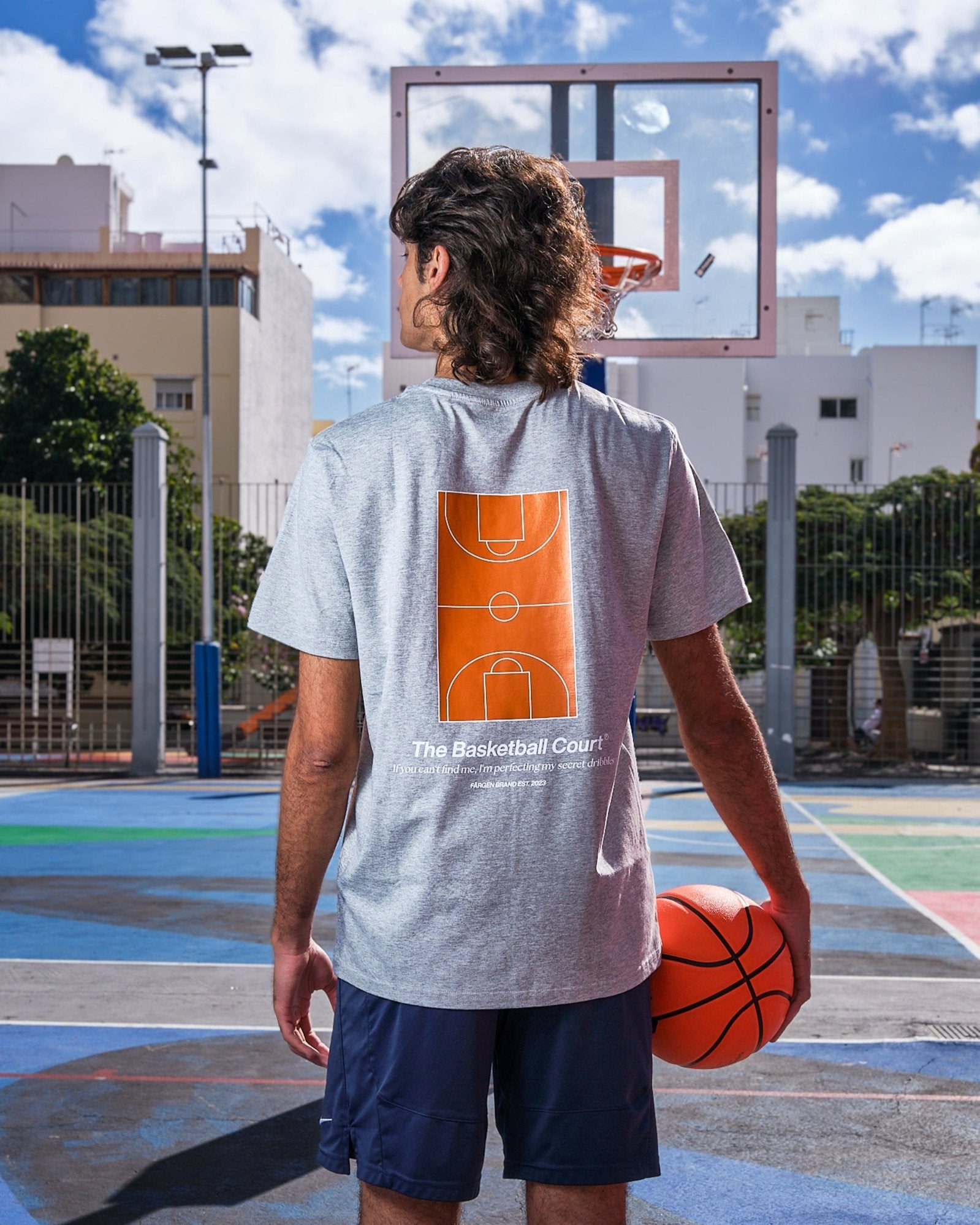 Camiseta The Basketball Court - Gris - Färgen