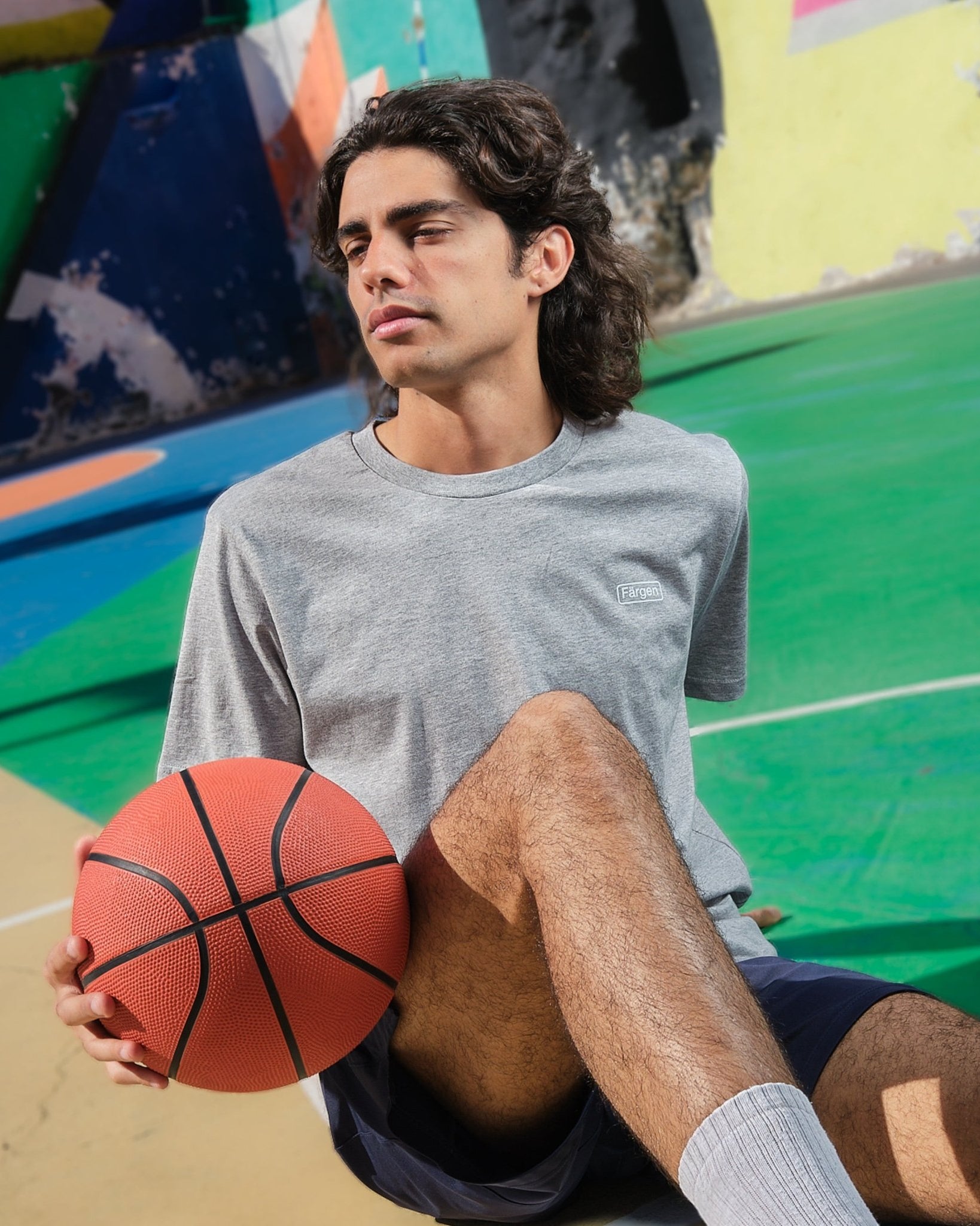 Camiseta The Basketball Court - Gris - Färgen