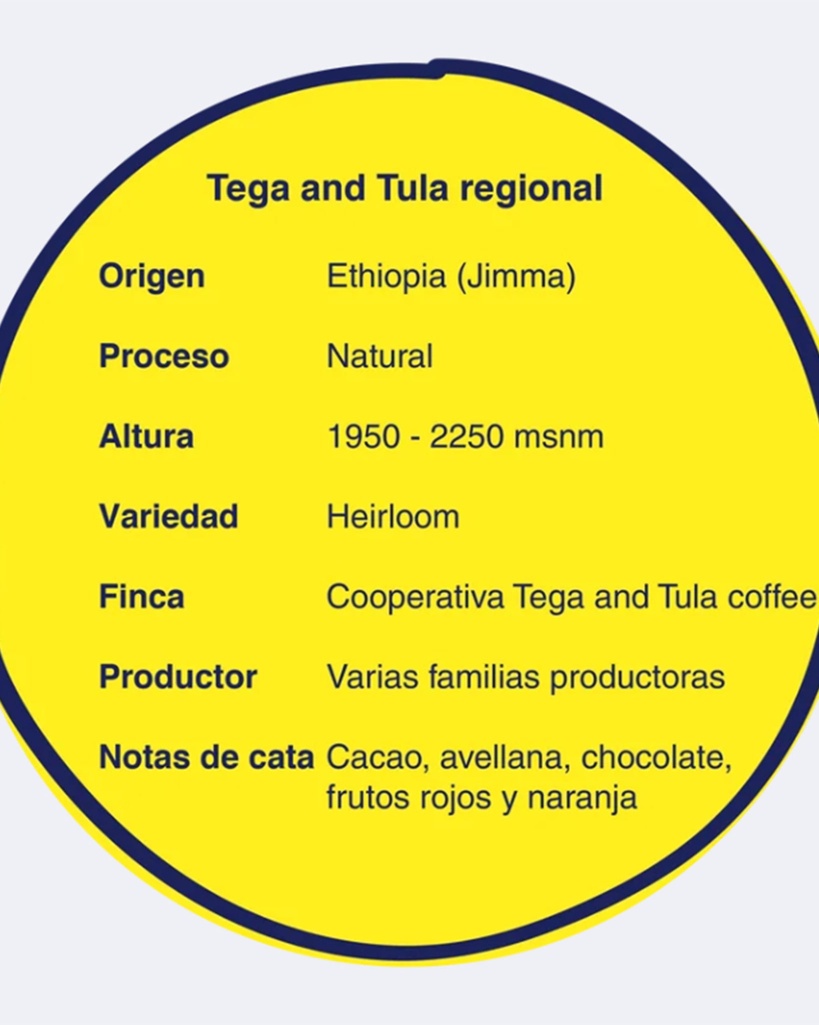icha informativa del café Färgen Specialty Coffee x Pam Coffee Roasters, origen Etiopía Jimma, proceso natural y notas de cacao, frutos rojos y naranja.