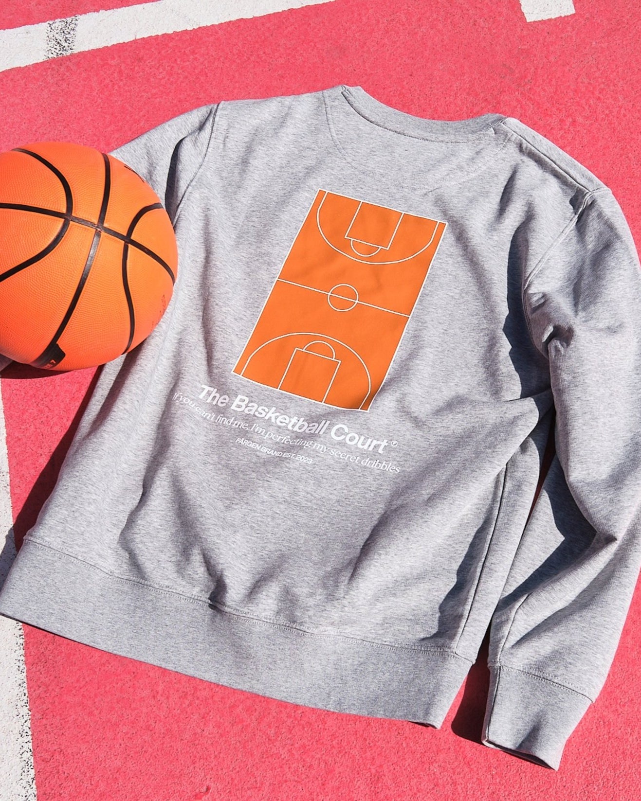Sudadera The Basketball Court - Gris - Färgen