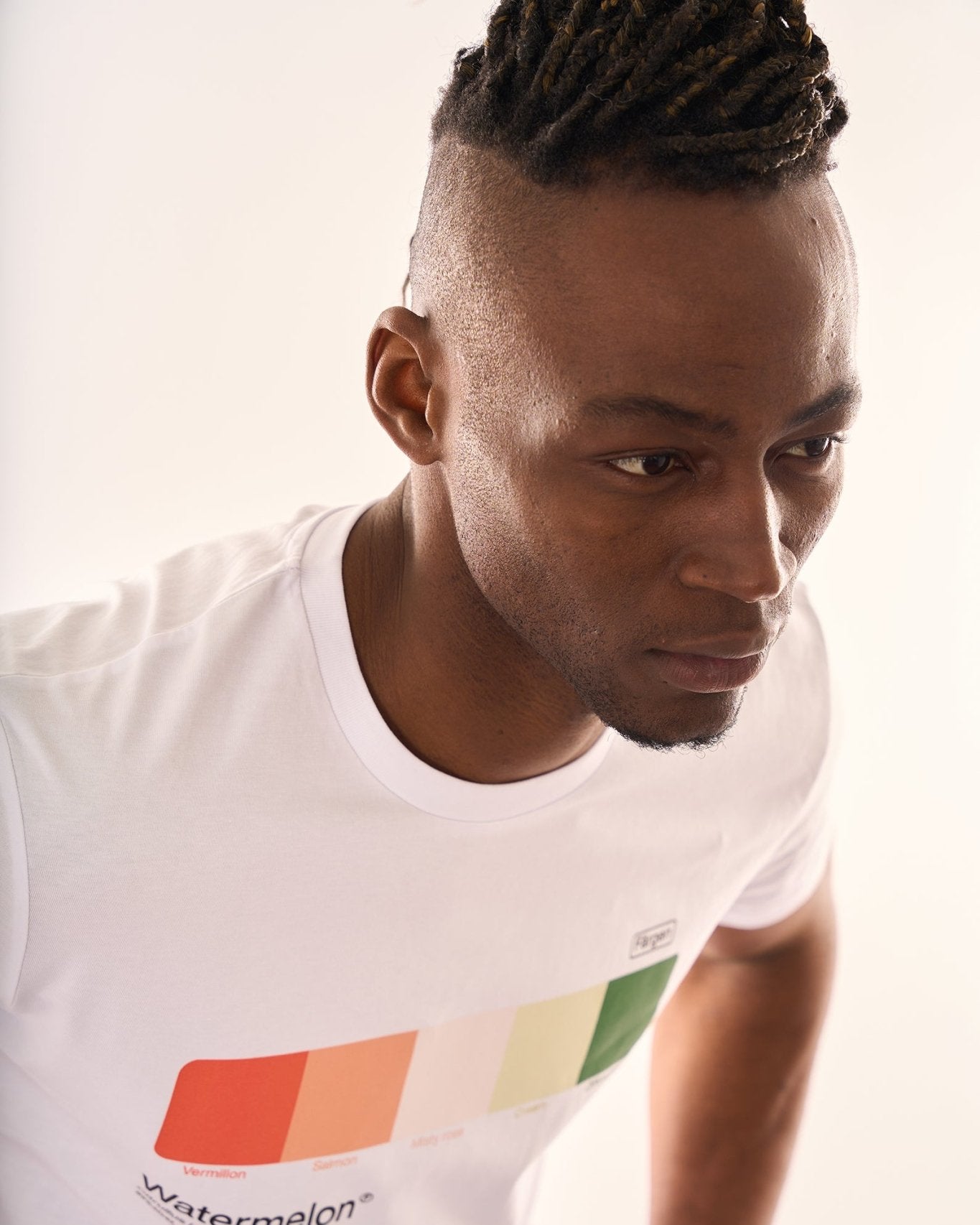 Camiseta algodón orgánico Watermelon - Färgen