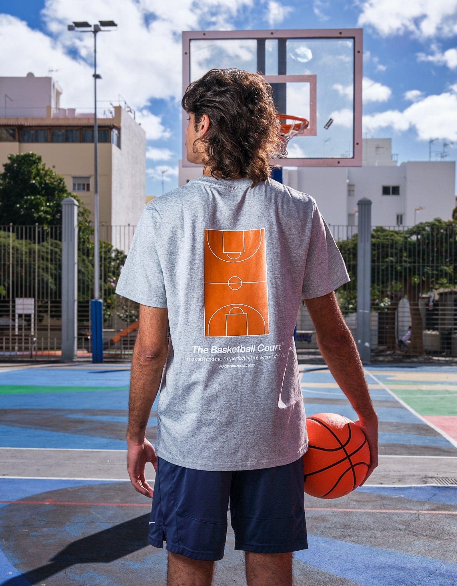 Camiseta The Basketball Court - Gris - Färgen