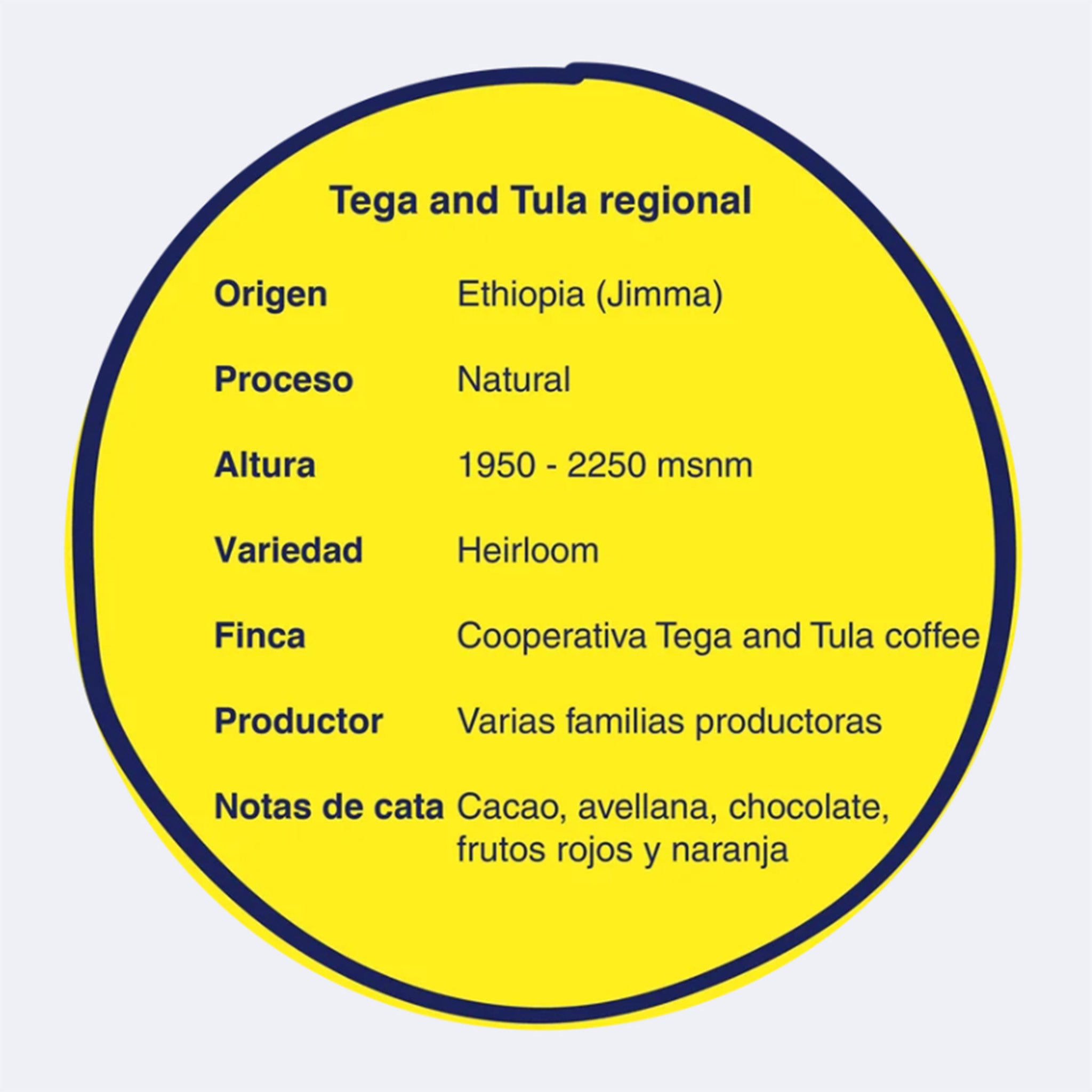 icha informativa del café Färgen Specialty Coffee x Pam Coffee Roasters, origen Etiopía Jimma, proceso natural y notas de cacao, frutos rojos y naranja.
